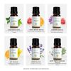 12 bottle set aromatherapy gift 100% organic natural essential oil