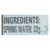 Ice Mountain - Sparkling Water - Simply Bubbles - Case of 12 - 33.8 fl oz.