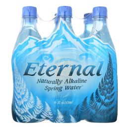 Eternal Naturally Artesian Water - Case of 4 - 600 ml